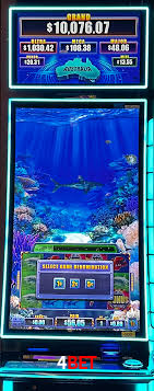 Premium Interface 4bet